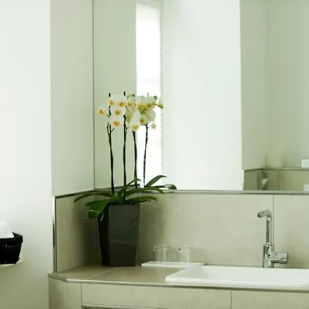 호텔 Residenz Am Koenigsplatz 4*